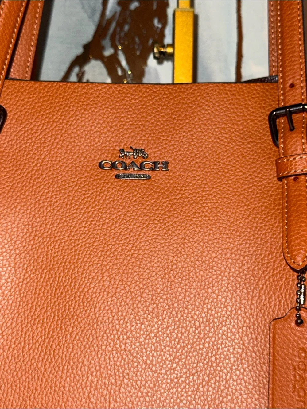 Coach Mollie Tote
